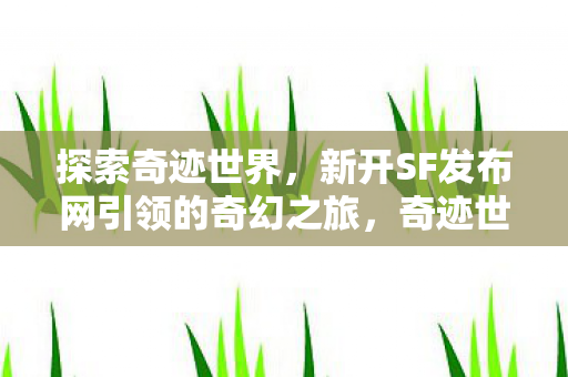 新开SF发布网引领的奇幻之旅图片