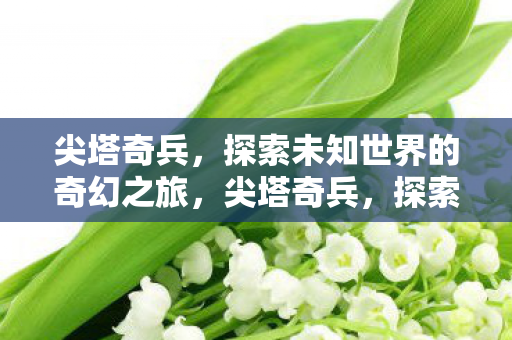 尖塔奇兵，探索未知世界的奇幻之旅，尖塔奇兵，探索未知世界的奇幻之旅