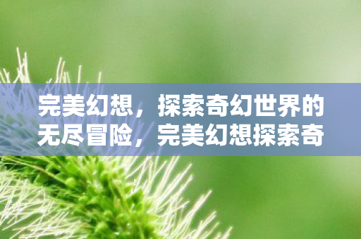 完美幻想探索奇幻世界的无尽冒险图片