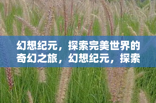 幻想纪元,探索完美世界的奇幻之旅,幻想纪元,探索完美世界的奇幻之旅 幻想纪元,探索完美世界的奇幻之旅,幻想纪元,探索完美世界的奇幻之旅