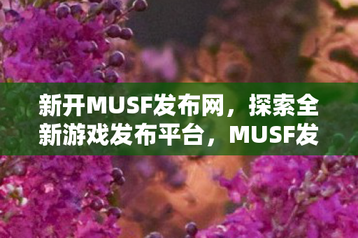 探索全新游戏发布平台图片