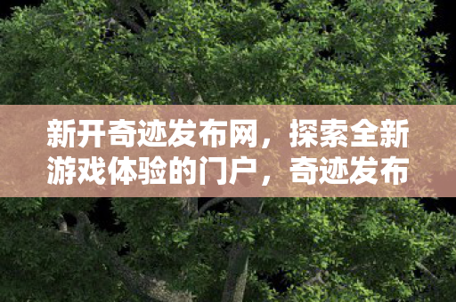 探索全新游戏体验的门户图片