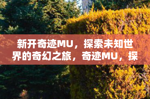 探索未知世界的奇幻之旅图片