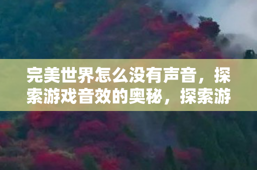 完美世界怎么没有声音图片
