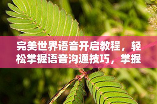 完美世界语音开启教程图片