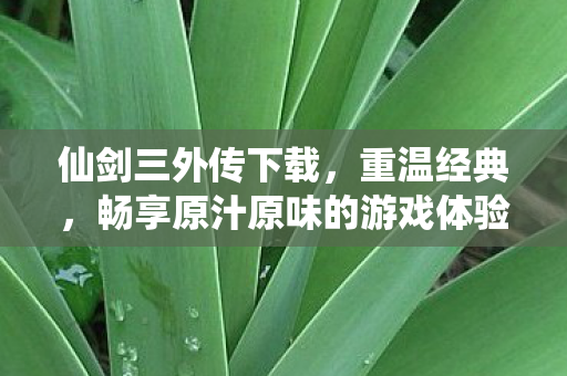 畅享原汁原味的游戏体验图片