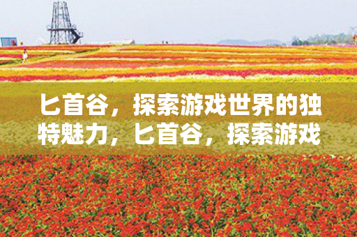 匕首谷，探索游戏世界的独特魅力，匕首谷，探索游戏世界的独特魅力