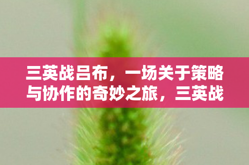 三英战吕布，一场关于策略与协作的奇妙之旅，三英战吕布，策略与协作的奇妙冒险