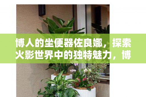 探索火影世界中的独特魅力图片