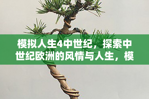探索中世纪欧洲的风情与人生图片