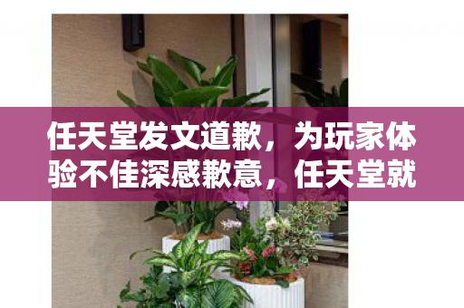 任天堂发文道歉,为玩家体验不佳深感歉意,任天堂就玩家体验不佳致歉 任天堂发文道歉,为玩家体验不佳深感歉意,任天堂就玩家体验不佳致歉