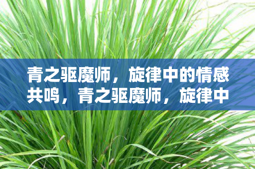 青之驱魔师，旋律中的情感共鸣，青之驱魔师，旋律中的情感共鸣