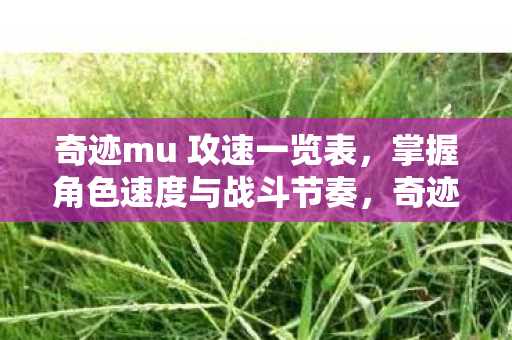 奇迹mu 攻速一览表,掌握角色速度与战斗节奏,奇迹mu攻速一览表,掌握角色速度与战斗节奏 奇迹mu 攻速一览表,掌握角色速度与战斗节奏,奇迹mu攻速一览表,掌握角色速度与战斗节奏