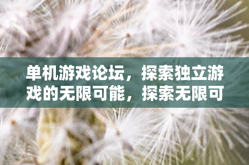 单机游戏论坛,探索独立游戏的无限可能,探索无限可能,单机游戏论坛 单机游戏论坛,探索独立游戏的无限可能,探索无限可能,单机游戏论坛