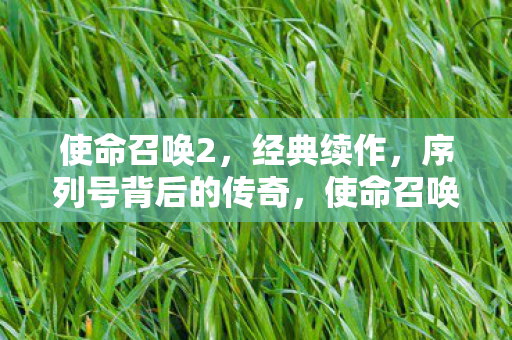 序列号背后的传奇图片
