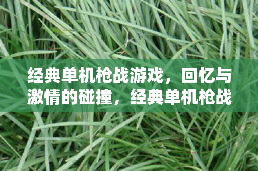 经典单机枪战游戏,回忆与激情的碰撞,经典单机枪战游戏,回忆与激情的碰撞 经典单机枪战游戏,回忆与激情的碰撞,经典单机枪战游戏,回忆与激情的碰撞