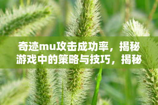 奇迹mu攻击成功率,揭秘游戏中的策略与技巧,揭秘奇迹MU攻击成功率提升策略与技巧 奇迹mu攻击成功率,揭秘游戏中的策略与技巧,揭秘奇迹MU攻击成功率提升策略与技巧