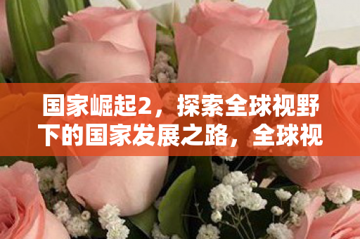 国家崛起2,探索全球视野下的国家发展之路,全球视野下的国家崛起之路,探索国家发展之路 国家崛起2,探索全球视野下的国家发展之路,全球视野下的国家崛起之路,探索国家发展之路