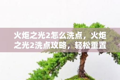 火炬之光2怎么洗点,火炬之光2洗点攻略,轻松重置技能点 火炬之光2怎么洗点,火炬之光2洗点攻略,轻松重置技能点