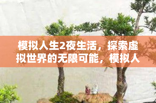 探索虚拟世界的无限可能图片