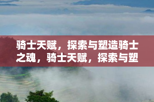 探索与塑造骑士之魂图片