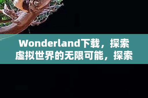 Wonderland下载,探索虚拟世界的无限可能,探索虚拟世界的无限可能,Wonderland下载体验 Wonderland下载,探索虚拟世界的无限可能,探索虚拟世界的无限可能,Wonderland下载体验