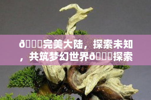 共筑未知世界的完美画卷图片