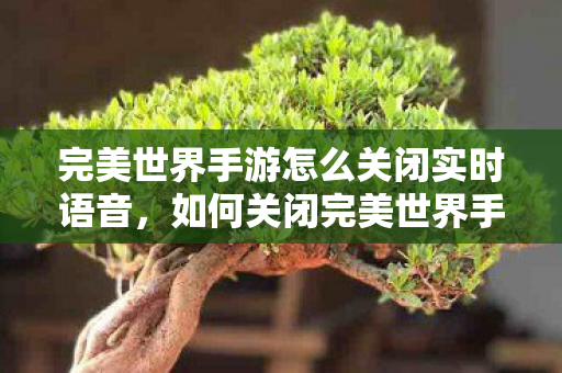 如何关闭完美世界手游实时语音功能图片