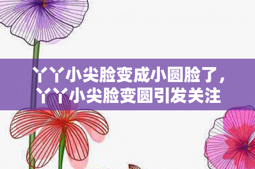 丫丫小尖脸变成小圆脸了图片