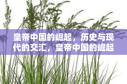 皇帝中国的崛起,历史与现代的交汇,皇帝中国的崛起,历史与现代的交汇 皇帝中国的崛起,历史与现代的交汇,皇帝中国的崛起,历史与现代的交汇