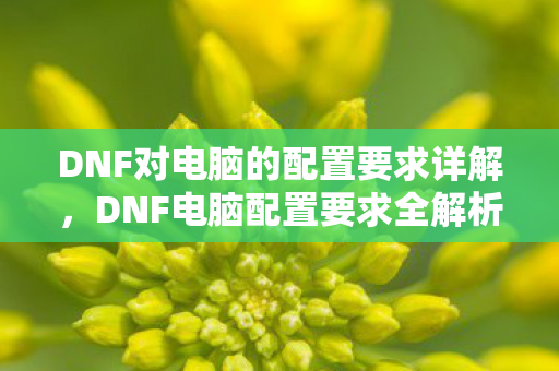 DNF对电脑的配置要求详解,DNF电脑配置要求全解析 DNF对电脑的配置要求详解,DNF电脑配置要求全解析