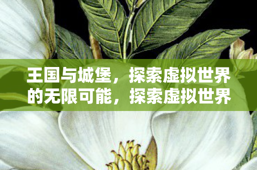 王国与城堡，探索虚拟世界的无限可能，探索虚拟世界，王国与城堡的无限可能