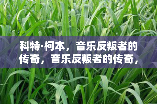 科特·柯本,音乐反叛者的传奇,音乐反叛者的传奇,科特·柯本 科特·柯本,音乐反叛者的传奇,音乐反叛者的传奇,科特·柯本