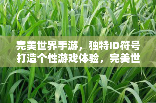 独特ID符号打造个性化游戏体验图片