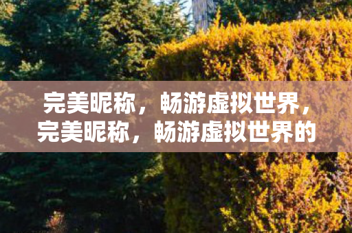畅游虚拟世界的通行证图片