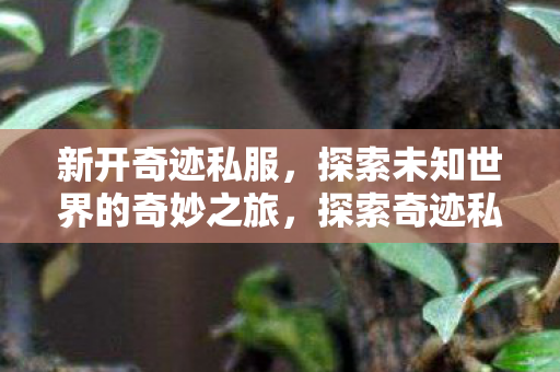 探索未知世界的奇妙之旅图片