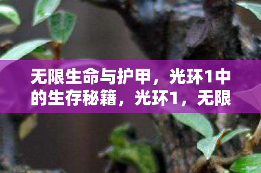 无限生命与护甲,光环1中的生存秘籍,光环1,无限生命与护甲,生存秘籍大揭秘 无限生命与护甲,光环1中的生存秘籍,光环1,无限生命与护甲,生存秘籍大揭秘