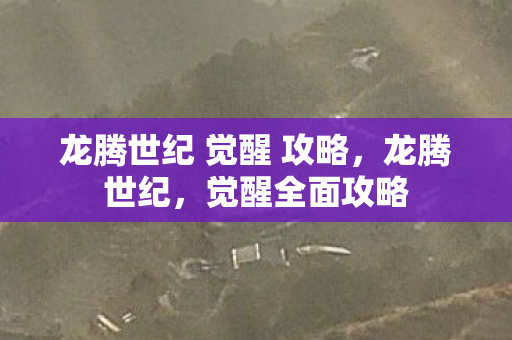 龙腾世纪 觉醒 攻略,龙腾世纪,觉醒全面攻略 龙腾世纪 觉醒 攻略,龙腾世纪,觉醒全面攻略