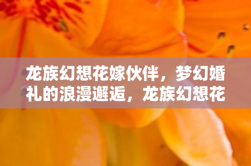 梦幻婚礼的浪漫邂逅图片