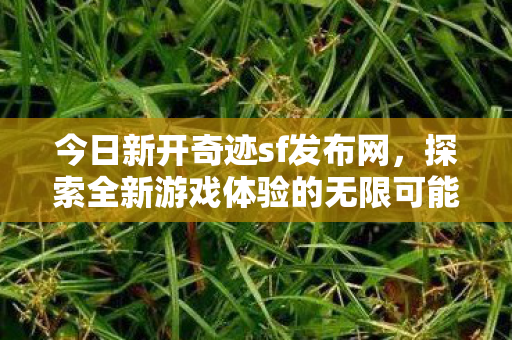 奇迹sf发布网开启全新游戏体验图片