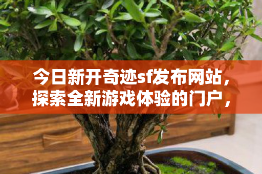 今日新开奇迹sf发布网站图片