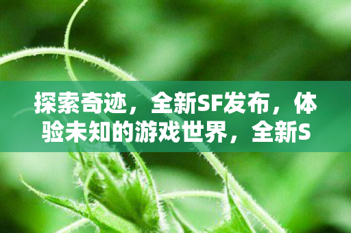 体验未知的游戏世界图片