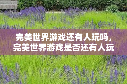 完美世界游戏是否还有人玩图片