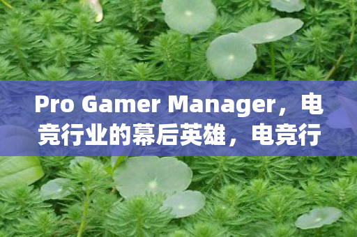Pro Gamer Manager,电竞行业的幕后英雄,电竞行业的幕后英雄,Pro Gamer Manager Pro Gamer Manager,电竞行业的幕后英雄,电竞行业的幕后英雄,Pro Gamer Manager