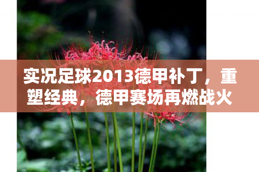 实况足球2013德甲补丁，重塑经典，德甲赛场再燃战火，实况足球2013德甲补丁，重塑经典，德甲赛场再燃战火