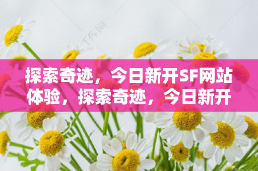 今日新开SF网站等你来体验图片