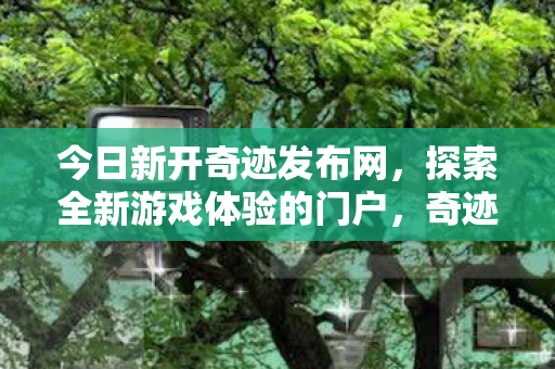 探索全新游戏体验的门户图片