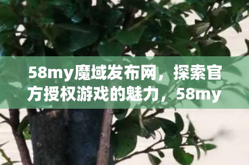 58my魔域发布网,探索官方授权游戏的魅力,58my魔域发布网,探索官方授权游戏的魅力 58my魔域发布网,探索官方授权游戏的魅力,58my魔域发布网,探索官方授权游戏的魅力
