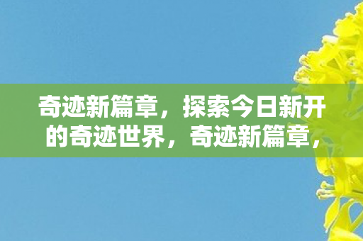探索今日新开的奇迹世界图片