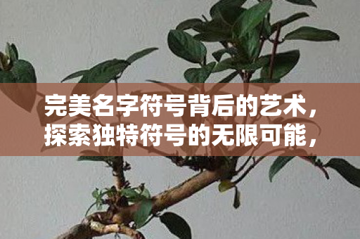 完美名字符号背后的艺术图片